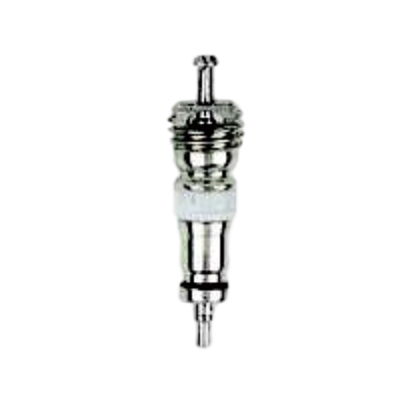 Noyaux de valve courts pour vélo TR1566T