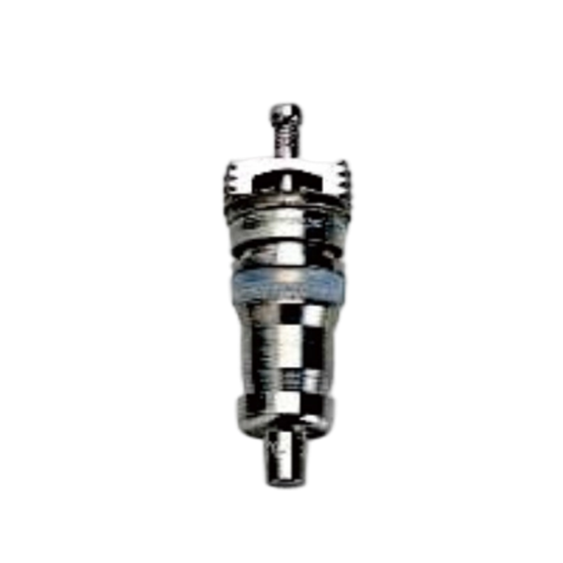 Noyaux de soupape géants TR6231C